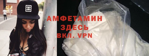 хмурый Абаза